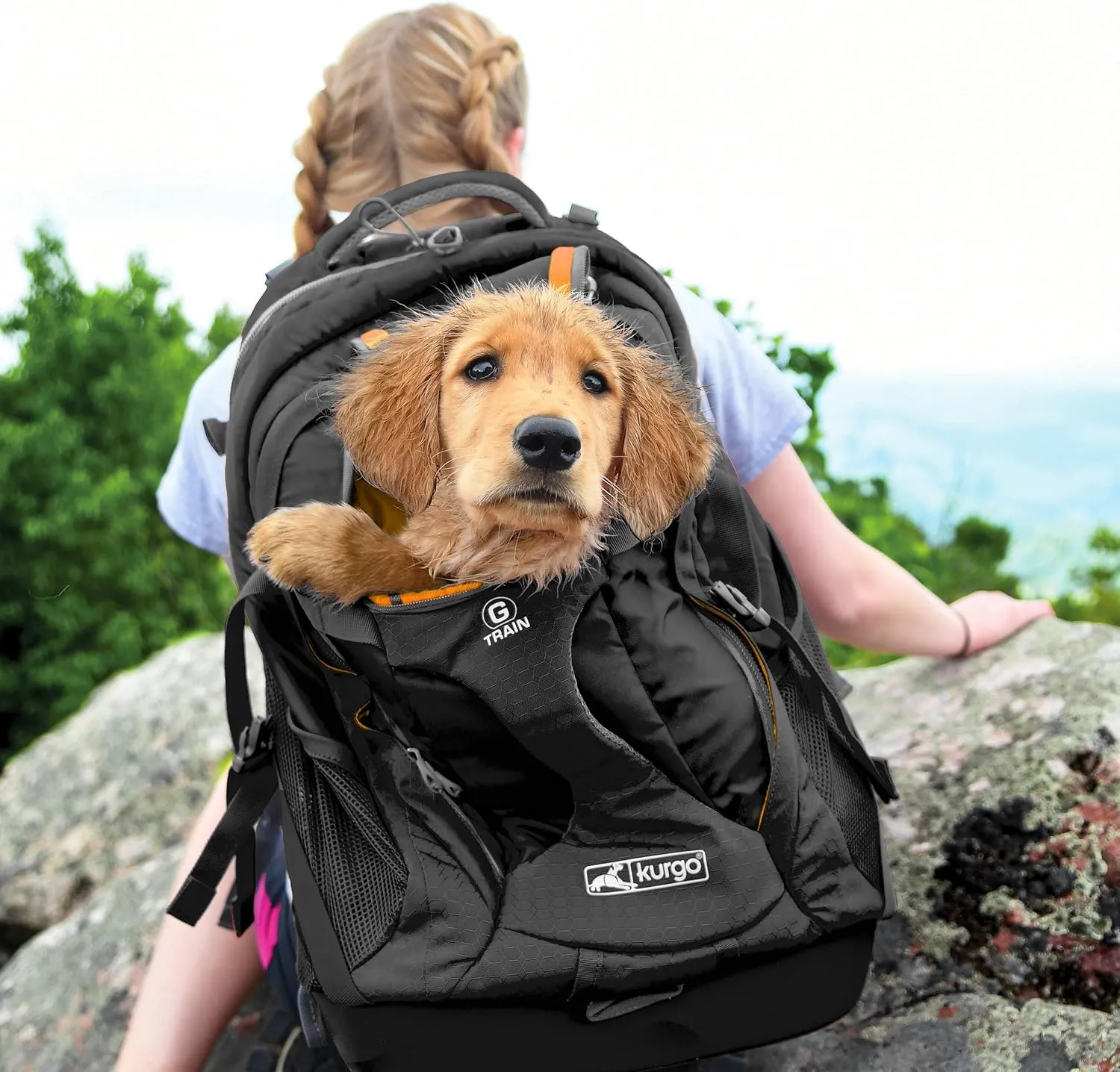 Kurgo G-Train K9 Pack, Carrier Backpack for Small Dogs and Cats