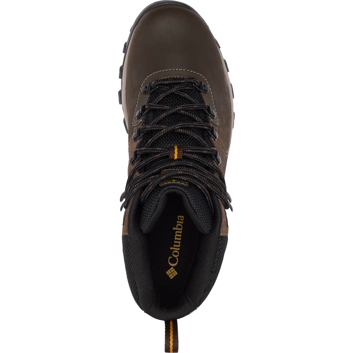 Men's Newton Ridge Plus II Waterproof